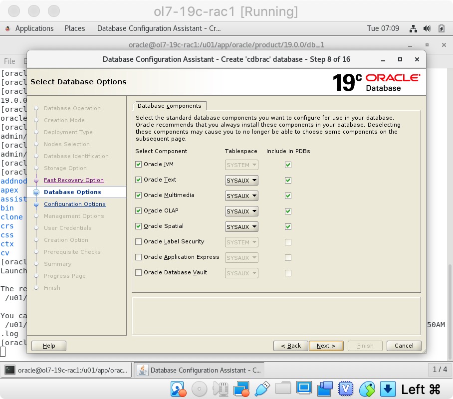 19c_RAC_install