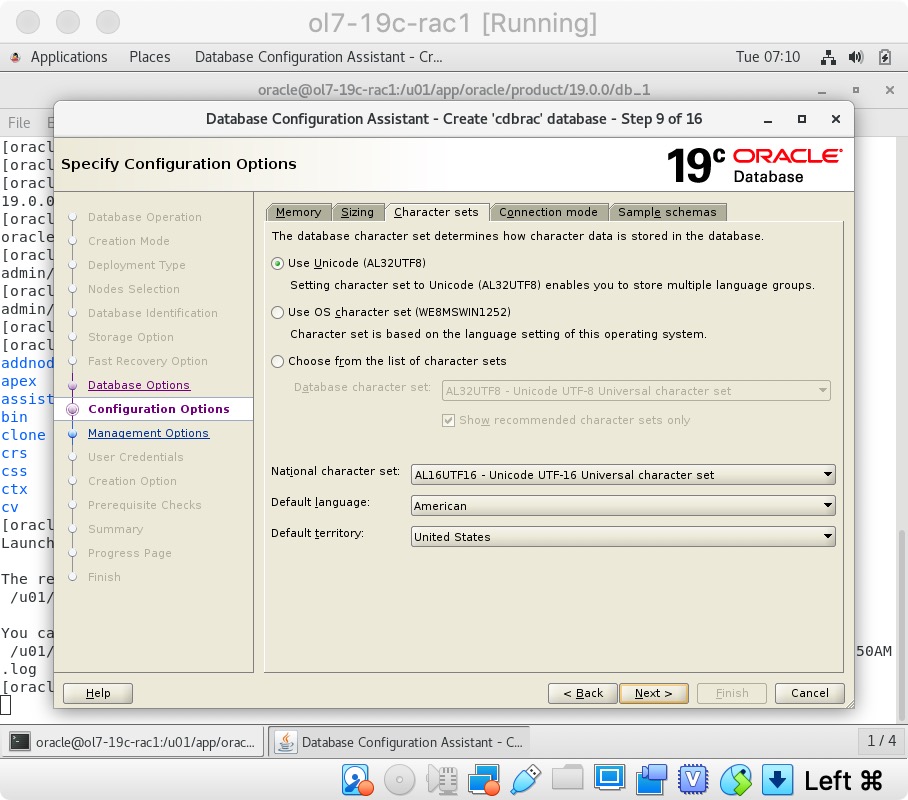 19c_RAC_install